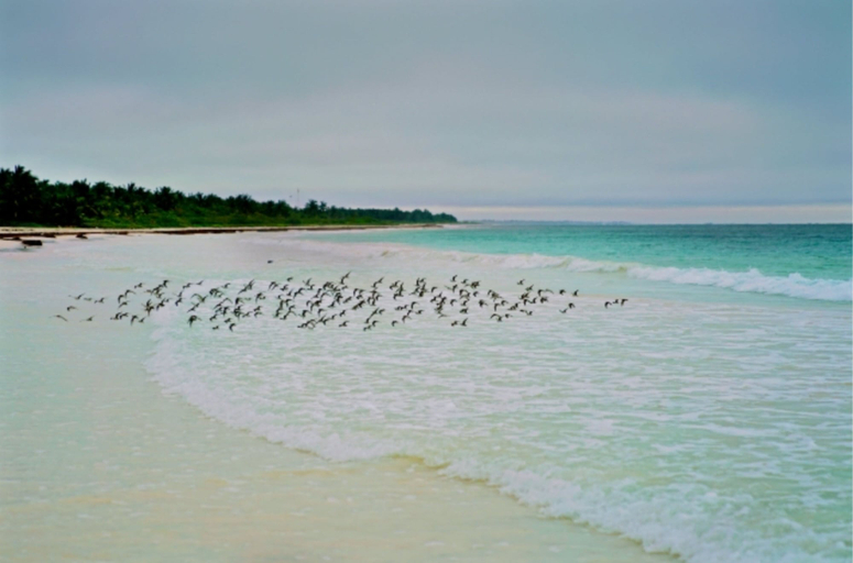 Others 2, Private oceanfront house - lagoon access, Cozumel