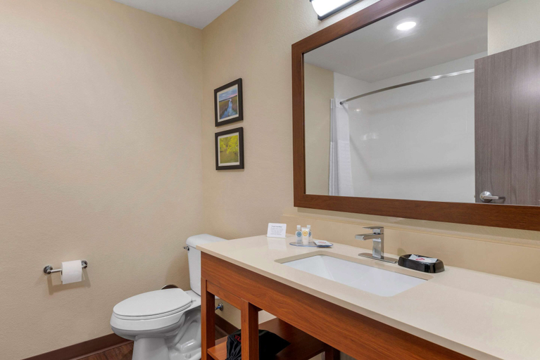 Bathroom 4, Comfort Inn & Suites North Mankato, Nicollet