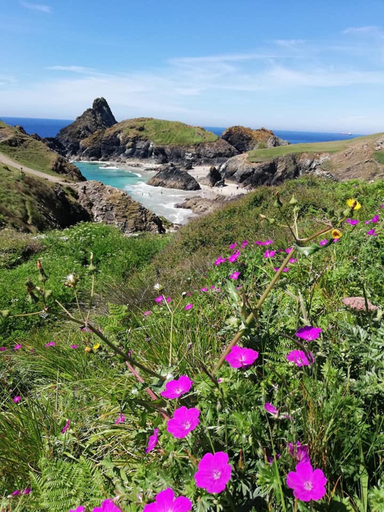 Others 5, 1bed Cottage Sleeps 2 - Enclosed Garden, Pets, Bbq, Cornwall