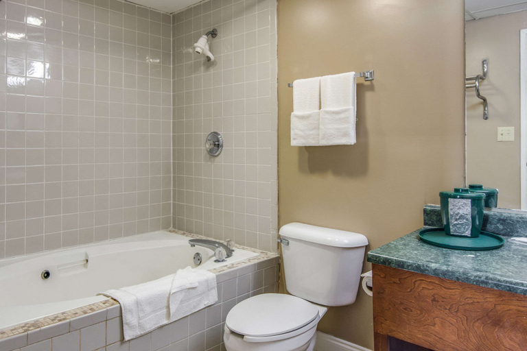 Bathroom 5, Rodeway Inn & Suites, Laurens