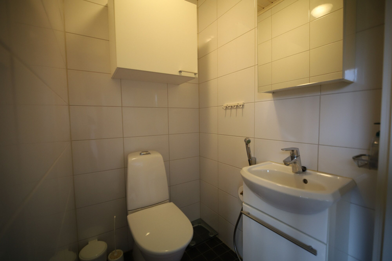 Bathroom, Björn, Finland Proper