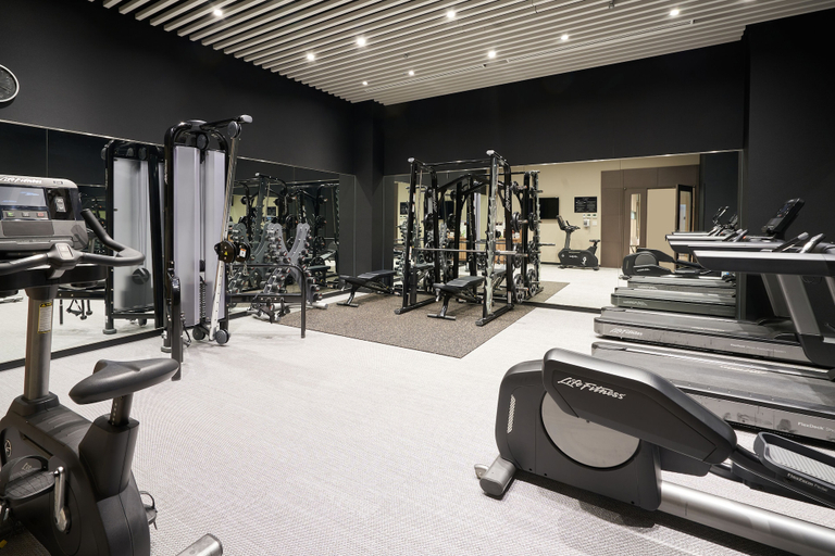 Sport & Beauty 5, Holiday Inn & Suites SHIN OSAKA by IHG, Osaka