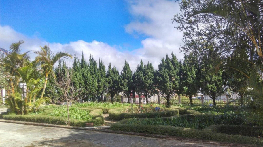 Others 5, Pine Tree House Da Lat, Đà Lạt