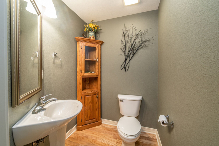 Bathroom 3, Thousand Hills Golf Resort, Taney