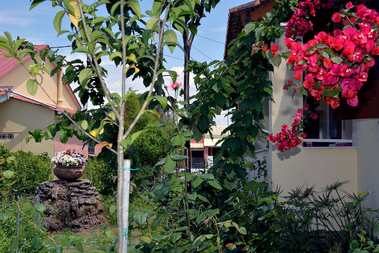 Others 4, Feeloxenia Corfu Apartments, Ionian Islands