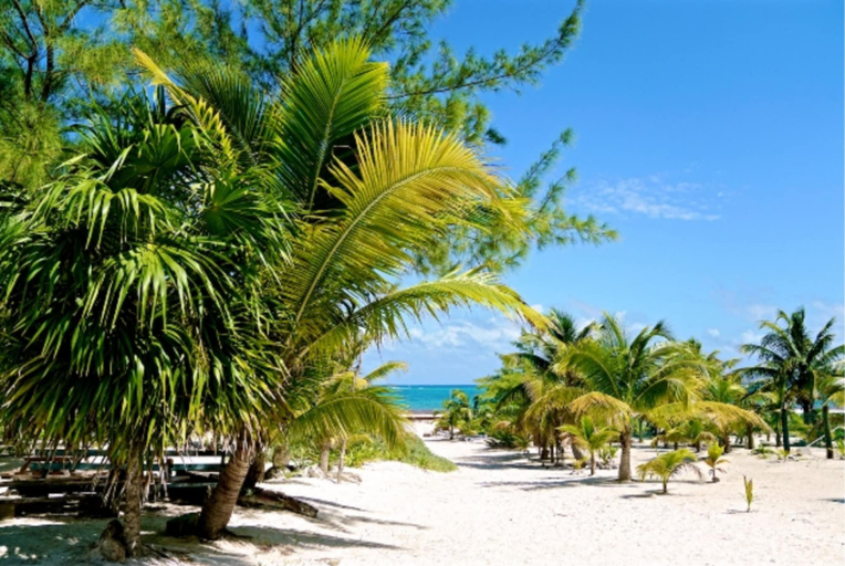 Others 4, Private oceanfront house - lagoon access, Cozumel
