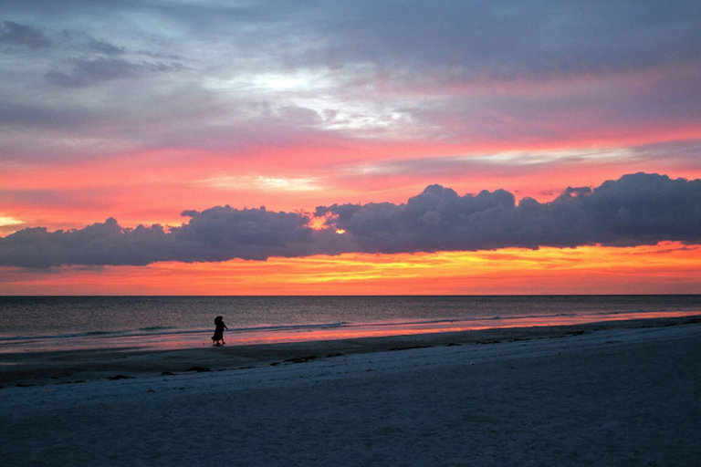 Others 4, Shell Beach Hollow, Sarasota