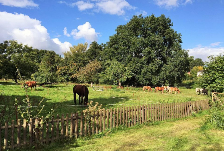 Others 3, Pfarrhof Stuer, Mecklenburgische Seenplatte