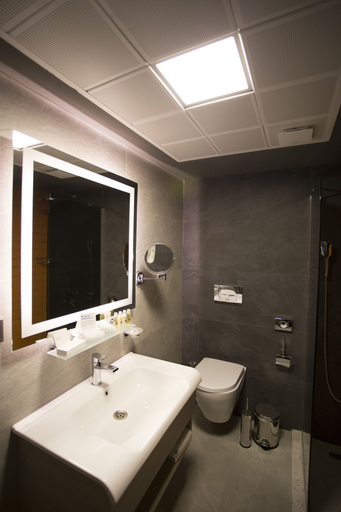 Bathroom 5, Days Hotel by Wyndham Ankara Cankaya, Çankaya