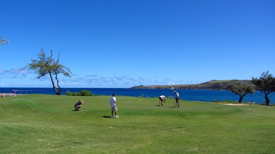 Others 5, Kapalua Bay Villa 35b3 Gold Ocean Front, Maui