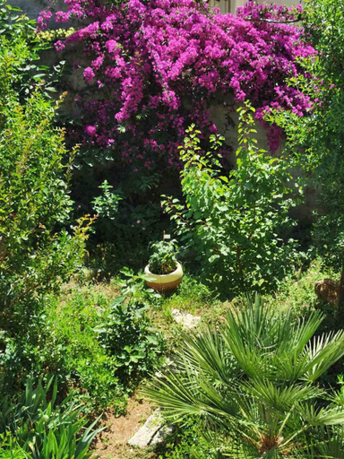 Garden 3, Apartment Luka, Dubrovnik