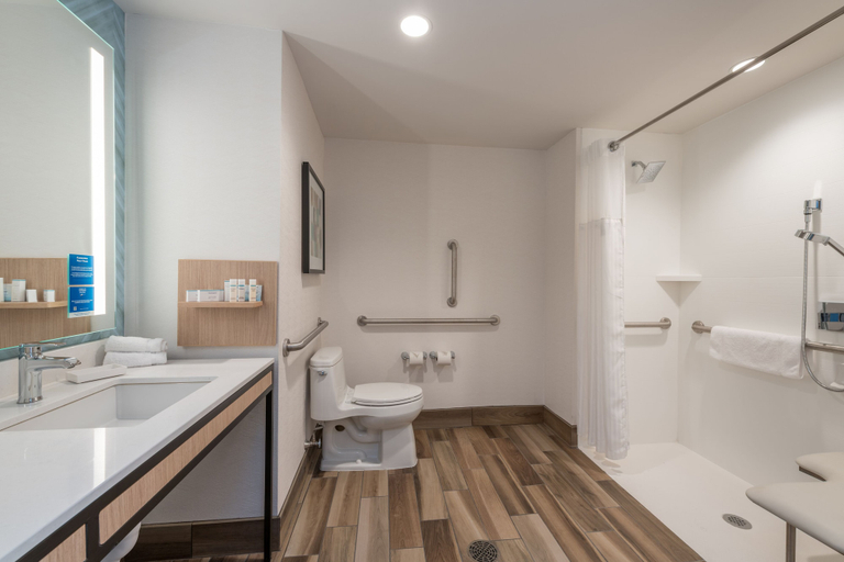 Bathroom 4, Hilton Garden Inn Boston Canton, Norfolk