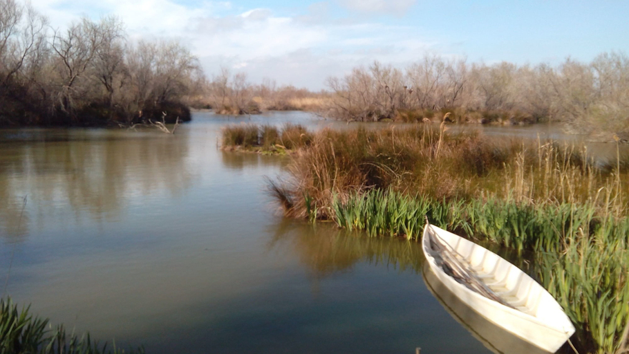 Others 5, Le Mazet De Jean en Camargue, Gard