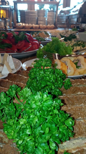 Food & Drinks 5, Pensjonat pod Kotelnica, Tatra