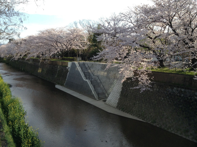 Others 5, I Am Home Guest House 101, Kyoto