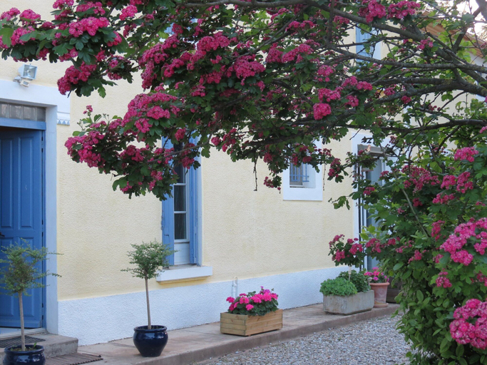 Exterior & Views 2, Domaine du Siestou Wine Resort & Spa, Aude