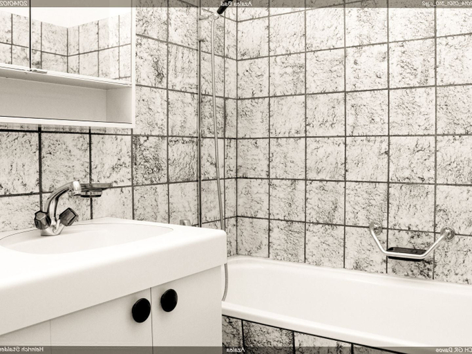 Bathroom 4, StalderA, Prättigau/Davos