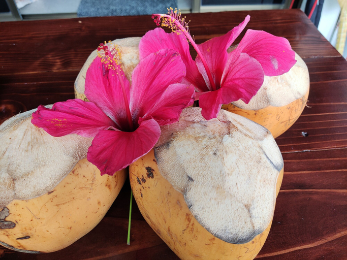 Food & Drinks, Mount Simpson 2-Beds Sleeps 4 5 mins to Beach