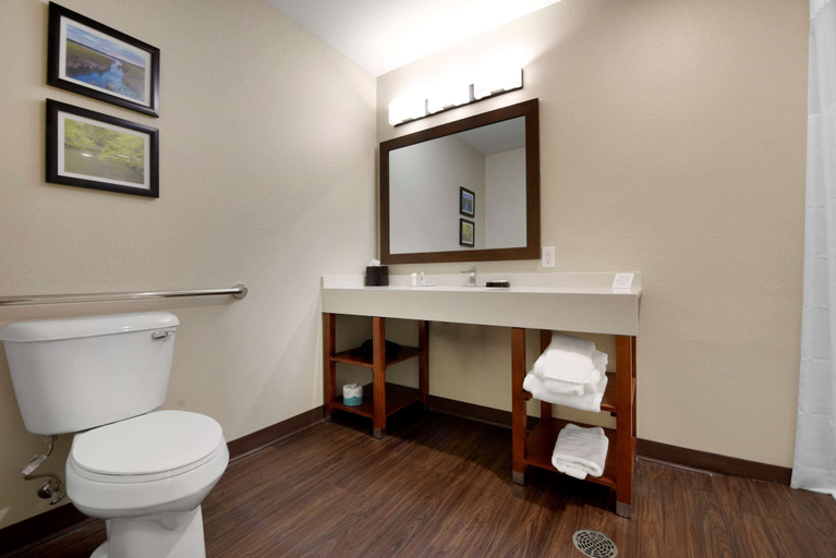 Bathroom 4, Comfort Inn & Suites North Mankato, Nicollet