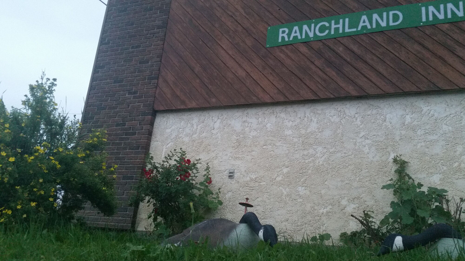 Exterior & Views 2, RANCHLAND Inn, Division No. 3