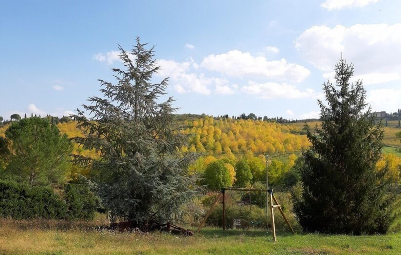 Others 5, Agriturismo casa alla madonna, Siena