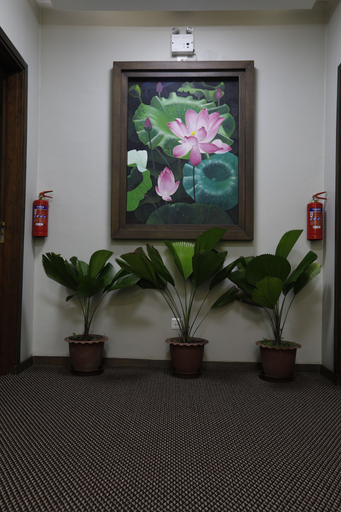 Others 5, Cloud 10 Boutique Hotel, Yangon