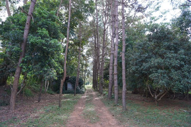 Others 5, Sonseesaed Farm, Phu Rua
