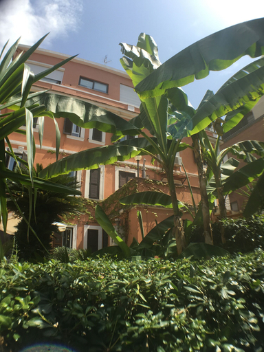 Exterior & Views 2, Vatican Garden House, Rome