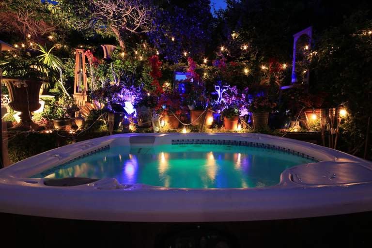 Sport & Beauty 5, The Green Ginger Guest House, Los Angeles