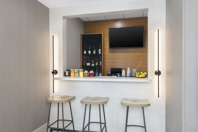 Others 4, SpringHill Suites by Marriott Weatherford Willow Park, Parker