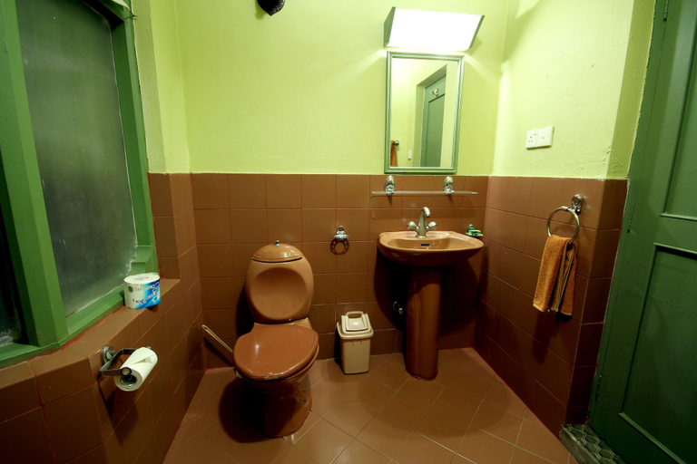 Bathroom 5, The Rhino Residency Resort, Narayani