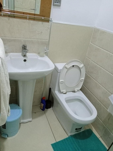 Bathroom 3, The Dernier, Eti-Osa