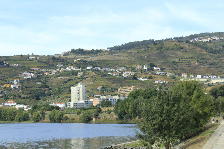 Others 4, Residencial Douro, Peso da Régua