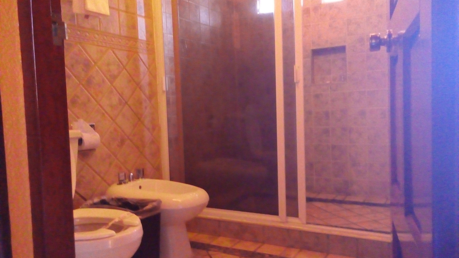 Bathroom 3, Hotel Real Azteca, Mexico City