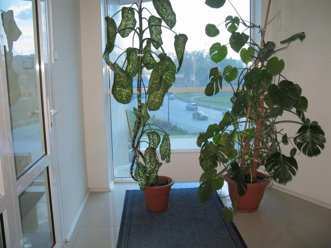 Others 5, Park Vista Hotel, Ekaterinburg gorsovet