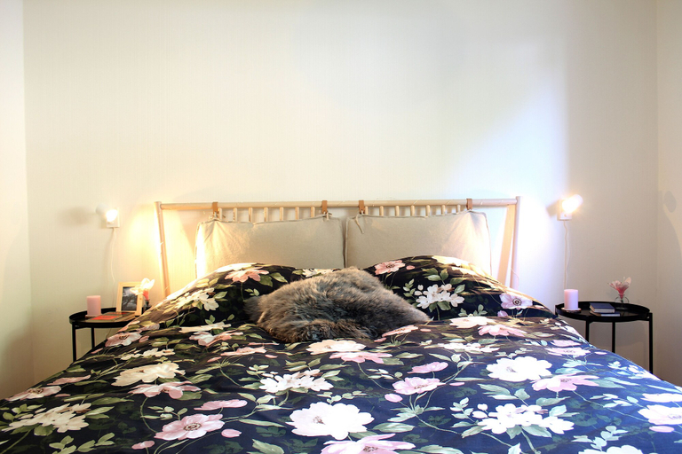 Bedroom 2, Central & Cozy - Rainbow A, Sierre