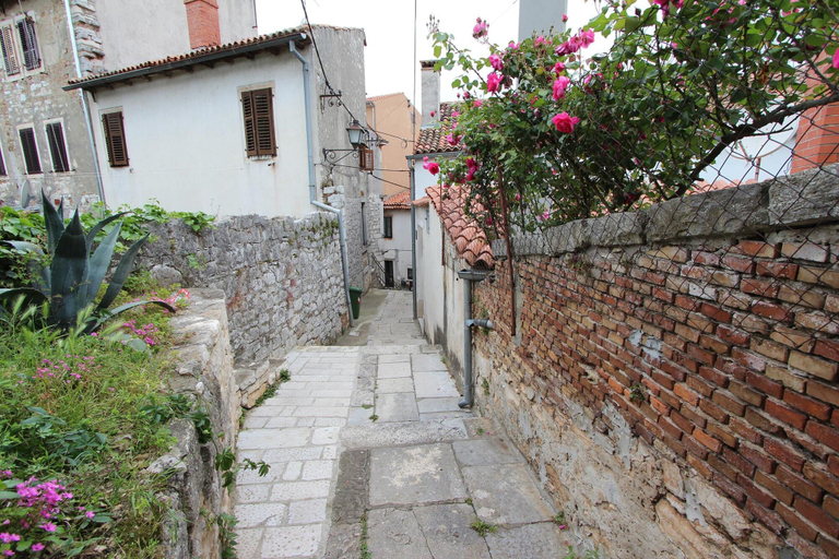 Exterior & Views 2, Apartment Riki, Rovinj