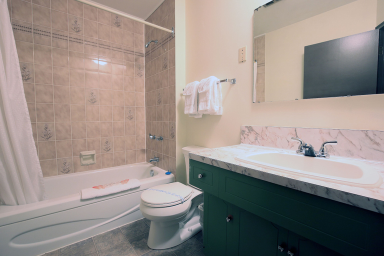 Bathroom 3, Bowmont Motel, Okanagan-Similkameen