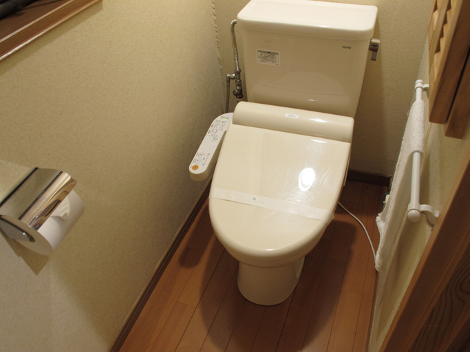 Bathroom 3, Unaginoyu no Yado Takuhide, Ōsaki