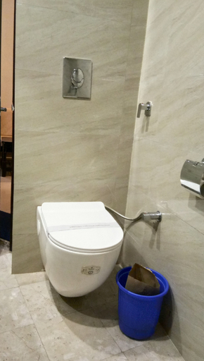 Bathroom 4, Hotel Krishna, Reasi