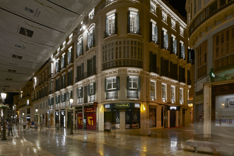 Exterior & Views 2, Hotel Vincci Larios Diez, Málaga