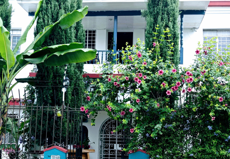 Exterior & Views 2, Hotel Boutique Los Remansos, Palmira