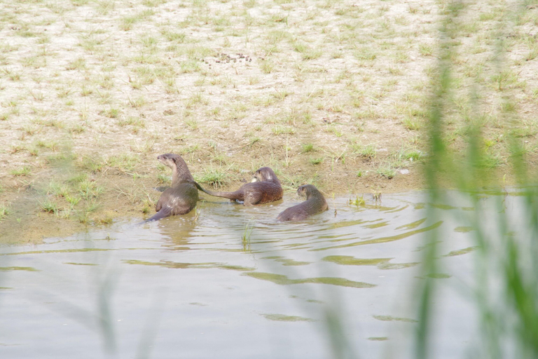 Others 5, Nature Safari Resort, Bheri