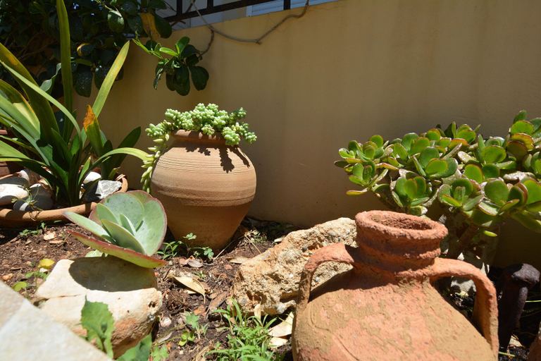 Others 5, Olive Oil Residence, Crete