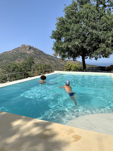 Others