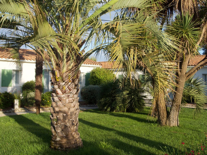 Others 3, Le Petit Bois, Charente-Maritime
