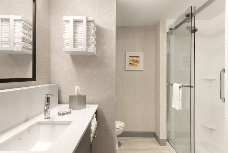 Bathroom 4, Hampton Inn & Suites St. Charles Old Town Area, Saint Charles