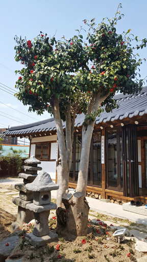 Exterior & Views 2, Misori Guesthouse, Buk