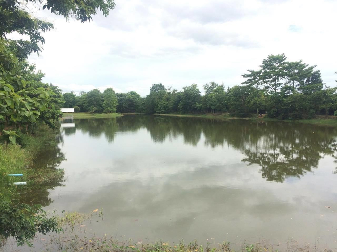 Others 4, Baan Suan Chiva Saran, Muang Nong Bua Lam Phu