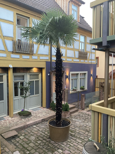 Exterior & Views 2, Anno Domini 1716 Boutique Hotel, Main-Spessart